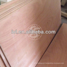 Hot sell 3.6mm/4.5mm plywood for Philippines market